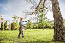 Best Lawn Drainage Solutions  in Fruitland Park, FL